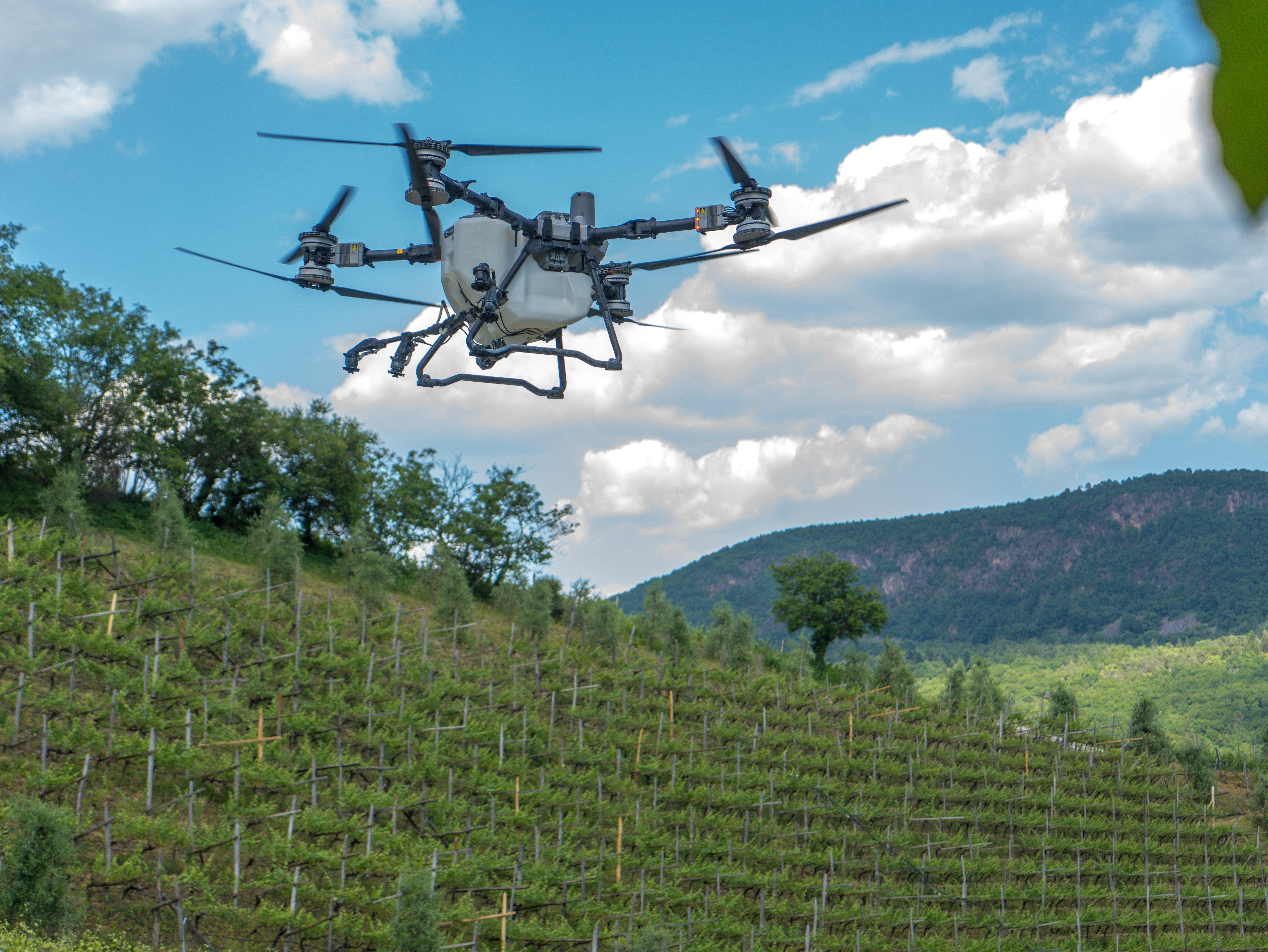 DJI Agras in viticoltura in Alto Adige